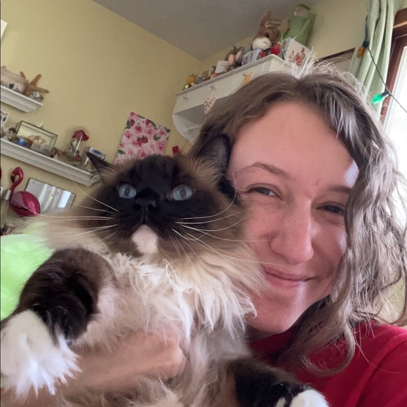 Meet your Posher, Hailey - Picture 4 of 5